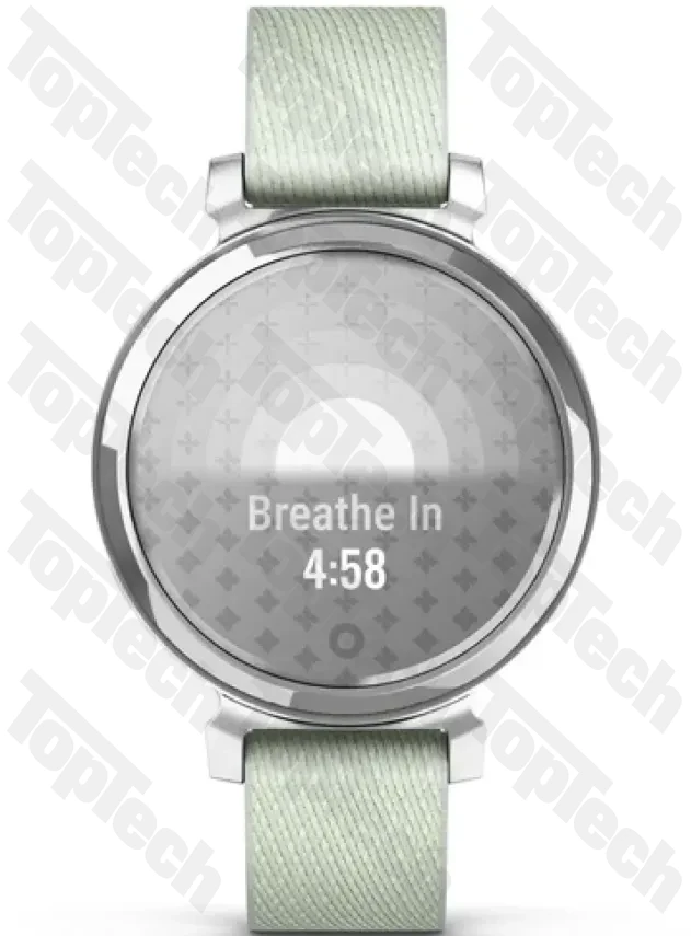 Garmin Lily® 2 Classic Silver with Sage Gray Nylon Band Garmin Lily® 2 Classic Silver with Sage Gray Nylon Band