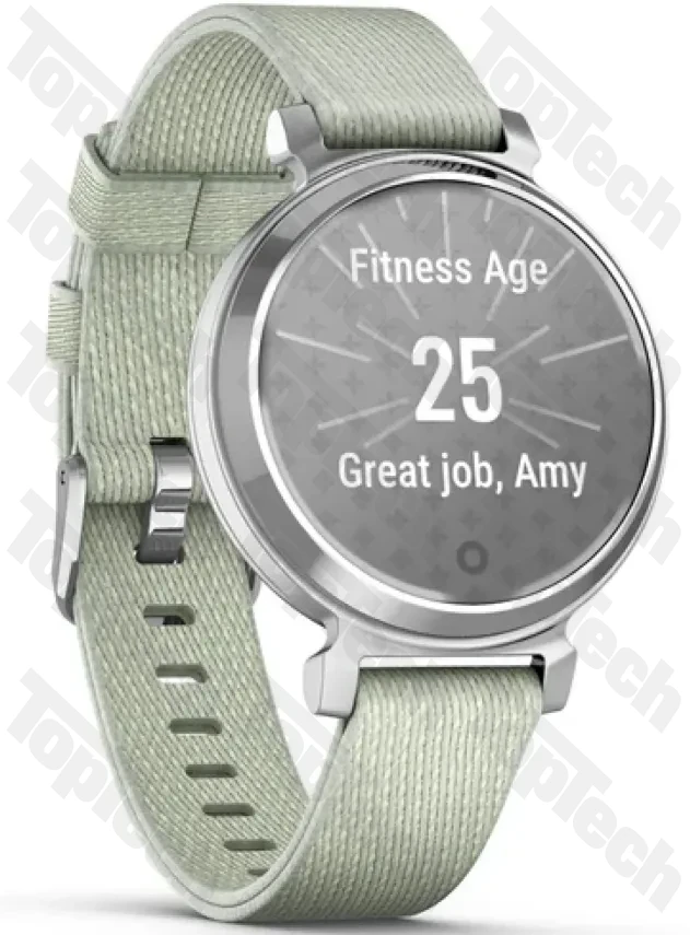 Garmin Lily® 2 Classic Silver with Sage Gray Nylon Band Garmin Lily® 2 Classic Silver with Sage Gray Nylon Band