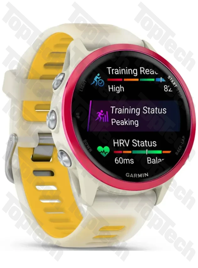 Garmin Forerunner 570 - 42mm Raspberry Aluminum with Translucent Bone/Mango Band