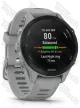 Garmin Forerunner 255S Светло-серый/чёрный