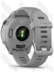 Garmin Forerunner 255S Светло-серый/чёрный