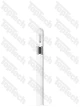 Apple Pencil (USB-C)