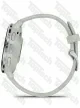Garmin Venu 3S Silver Stainless Steel Bezel with Sage Gray Case and Silicone Band