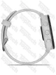 Garmin Forerunner 165 Mist Gray/Whitestone Garmin Forerunner 165 Mist Gray/Whitestone
